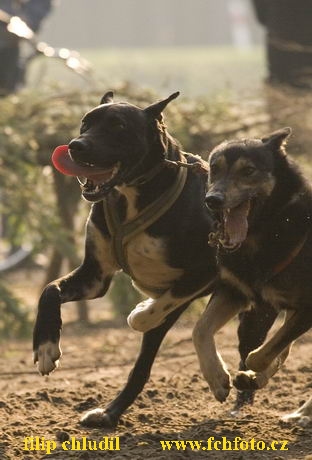 Polsko 2005 - 038.jpg